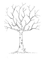 Sebastian-Bernd Jacobsen, Hannover